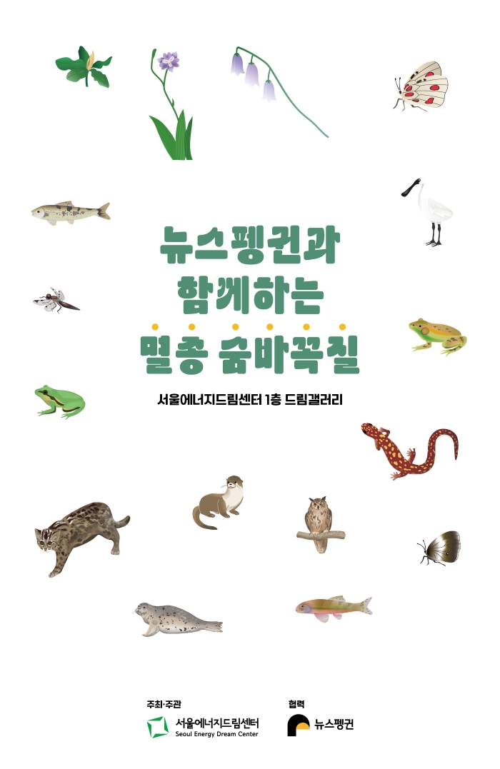 보도자료 [260605] 서울에너지드림센터, 뉴스펭귄과 함께  국내 멸종위기 야생동물 특별전 「멸종 숨바꼭질」개최